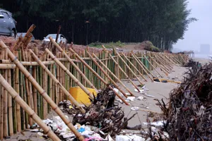 Sạt lở nghiêm trọng bên bờ biển ở Thanh Hóa trước siêu bão Yagi, Thứ trưởng Bộ Nông nghiệp chỉ đạo khẩn