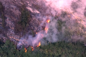 Cháy rừng đặc dụng trong Quần thể danh thắng Tràng An
