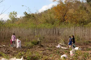 ‘Vàng trắng’ rớt giá, Thanh Hóa nhanh chóng đưa ra giải pháp