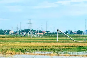 Hàng loạt cột điện gãy đổ la liệt sau mưa giông ở Thanh Hóa