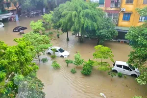 Bão số 3: Hàng loạt ô tô ở Thanh Hóa ngập sâu trong nước 