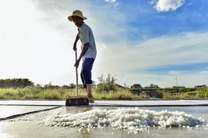 Nơi diêm dân đổi nắng lấy cơm ở miền Trung 