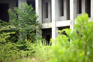 Trường mầm non hàng chục tỉ đồng xây gần xong để cỏ mọc gây lãng phí ở Hà Trung