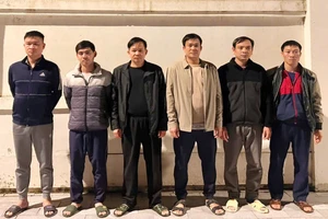 Phó Giám đốc phụ trách Cảng vụ Thanh Hóa cùng 6 người bị bắt 