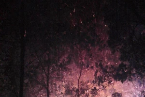 Cháy rừng trên núi kéo dài hơn 13 giờ 