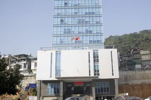 Ngủ trong giờ làm việc, phó phòng bị đình chỉ công tác