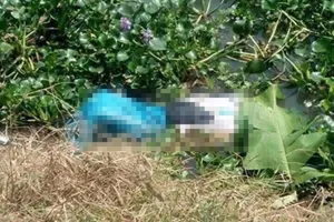 2 mẹ con chủ lô đề nghi sát hại con bạc