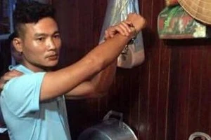 Tạm dừng hoạt động đội tàu có người trộm tiền du khách