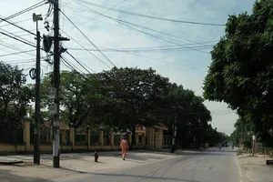 Nghi can tâm thần liên tục ném gạch vào phụ nữ