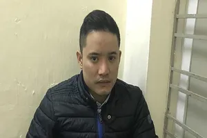 Bắt nghi can cho ma túy vào trà sâm và sữa bột 