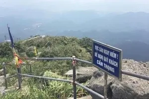 Đi phóng sinh rắn hổ chúa, cứu được du khách rơi dưới vực Yên Tử