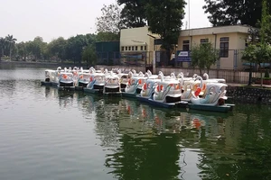 Thuê thuyền thiên nga ra hồ tự tử