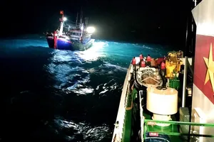 Ảnh minh hoạ. Ảnh: NGUYỄN NAM PLO