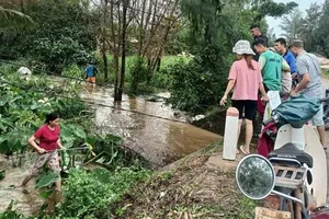 Lũ cuốn hơn 32 tấn cá lóc gần đến ngày thu hoạch