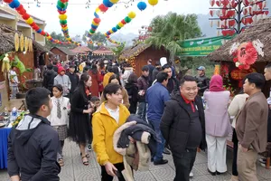 Khu vực diễn ra sự kiện Phong Nha Coutdown Party 2023 'cháy phòng'