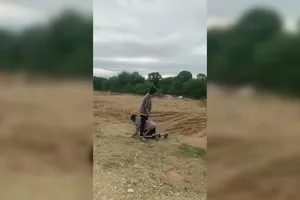 1 nữ sinh bị bạn đánh đập, làm nhục