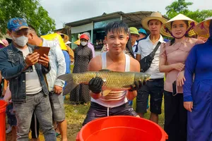 Độc đáo hội thi đi tìm Hoa hậu cá trắm