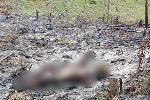 Người đàn ông tử vong trong tình trạng toàn thân cháy đen