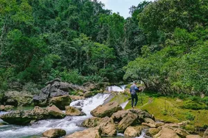 Nhiều hoạt động dịp kỷ niệm 20 năm Di sản Vườn Quốc gia Phong Nha-Kẻ Bàng