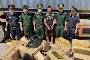 Bắt gần 3 tạ pháo lậu và 2,6 tấn gỗ trắc tại Cửa khẩu Cha Lo