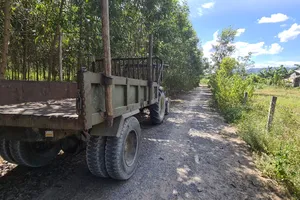 Chủ tịch tỉnh chỉ đạo kiểm tra, xử lý vụ 'đường mới làm 150 triệu đã thanh toán gần 700 triệu'