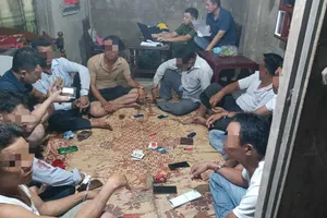 Đang sát phạt 'cào tố' trong rừng cao su thì công an ập đến