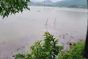 Cháu bé 1 tuổi rơi xuống mương nước tử vong thương tâm