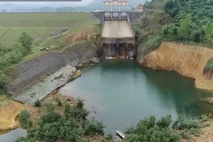 Nhiều sai phạm tại Công ty Khai thác công trình thủy lợi Quảng Bình