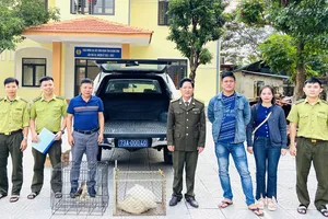 nguoi-dan-giao-nop-ca-the-chim-ung-va-tran-dat-quy-hiem-plo