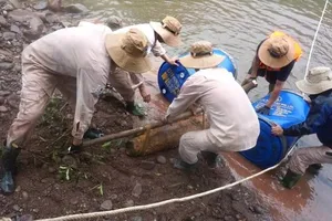 Liên tiếp phát hiện 3 quả bom lớn ở Quảng Bình