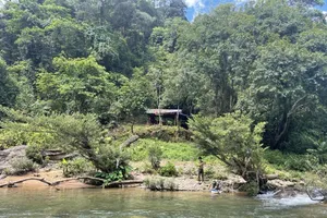 Quảng Bình nhận hơn 82 tỉ đồng từ việc bán tín chỉ carbon