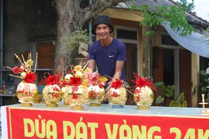 Những quả dừa dát vàng hút khách ngày Tết ở Quảng Bình