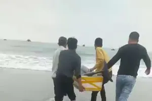 Người dân làng biển góp tiền mua lại cá heo sắp bị xẻ thịt để thả về tự nhiên