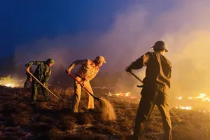 Cháy rừng ven biển ở Quảng Bình dưới nắng nóng gay gắt