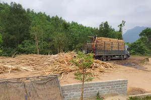 Quảng Bình yêu cầu rà soát tất cả các trạm cân ở huyện Bố Trạch