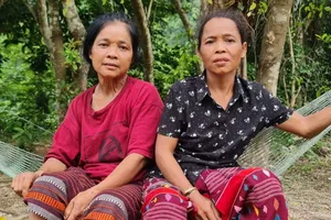 Quảng Bình: Xác minh thông tin người dân gặp hổ khi đi rừng