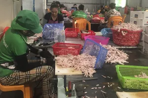 Phát hiện 3 tấn gà đông lạnh không rõ nguồn gốc ở Quảng Bình