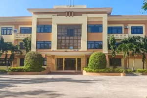 Cá độ mùa Euro, Phó Giám đốc Trung tâm Y tế huyện bị tạm giữ