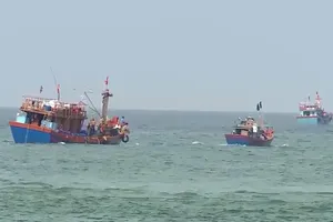 Quảng Bình kêu gọi hơn 400 tàu cá trên biển tìm nơi tránh trú áp thấp nhiệt đới