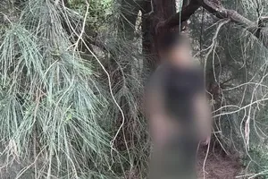 Quảng Bình: Nam thanh niên tử vong trong tư thế treo cổ ở rừng dương