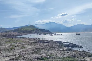 Hàng trăm người chữa cháy rừng bạch đàn ở Quảng Bình