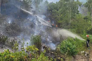 Tiếp tục xảy ra cháy rừng tại Quảng Bình