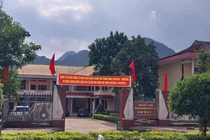 Bắt 1 cán bộ ở Quảng Bình liên quan đến dự án cây xanh