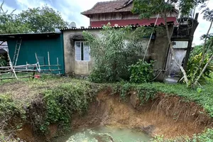 Quảng Bình: Xuất hiện 2 hố sụt lún trong vườn nhà dân sau tiếng nổ lớn