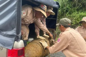 Người dân Quảng Bình phát hiện quả bom nặng 350 kg