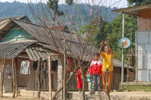 Tết cổ truyền ở bản làng giữa lòng Di sản thế giới