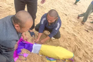 Người dân Quảng Bình làm lễ chôn cất xác cá voi trôi dạt vào bờ