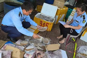 Quảng Bình thu giữ gần 3 tạ thực phẩm không rõ nguồn gốc