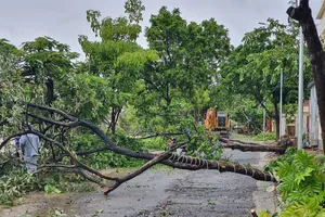 Đường sá Quảng Trị ngổn ngang sau khi bão số 10 quét qua