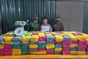 Biên phòng Quảng Trị phá chuyên án QT925.3, thu giữ nửa tấn ma túy